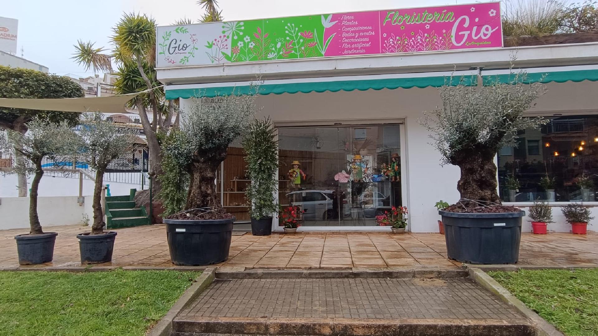 FLORISTERIA GIO